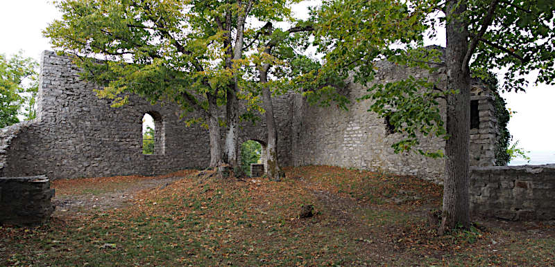 Ruine Rauber