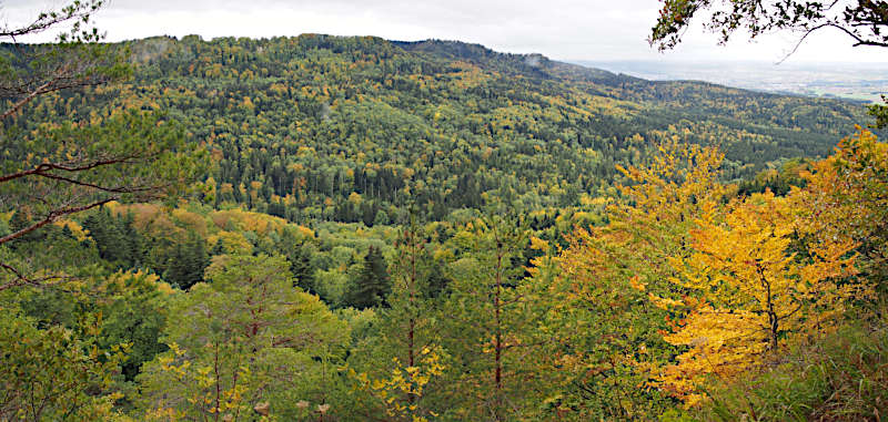 Blick vom Heiligenkopf