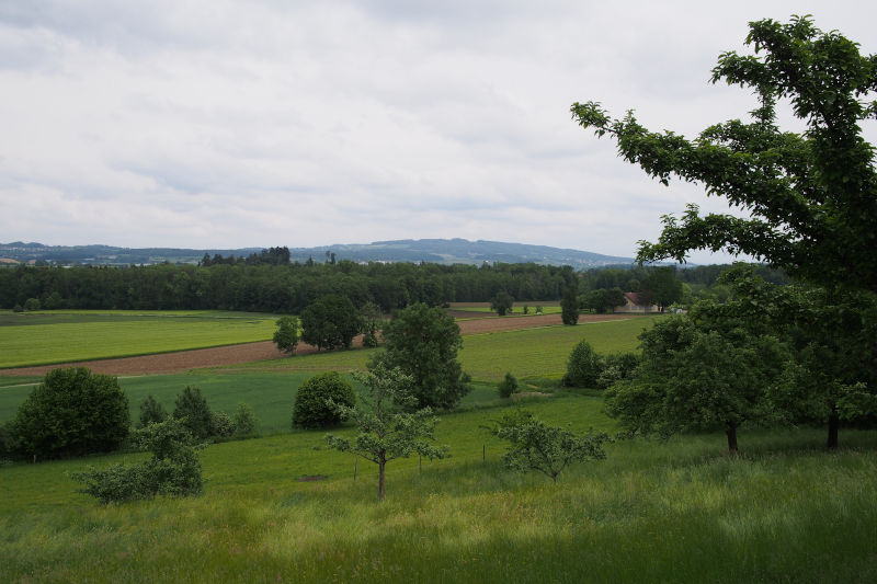 Bei Baitenhausen