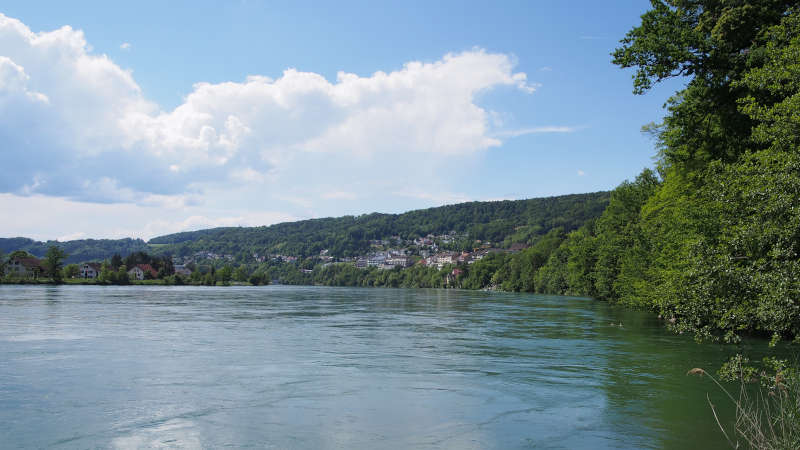 Der Rhein bei Waldshut