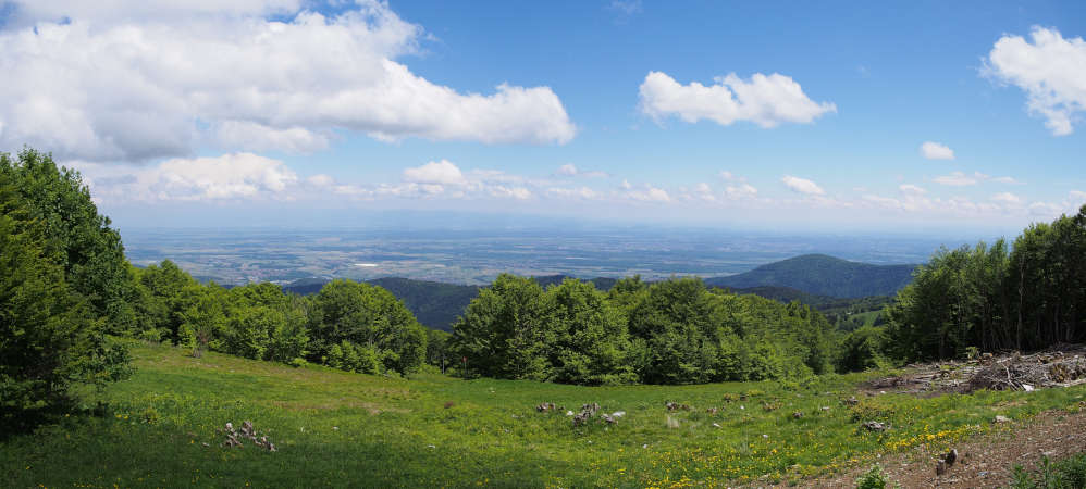 Blick auf die Rheinebene