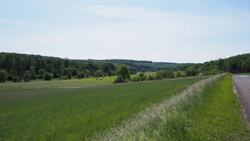 Ländlich
