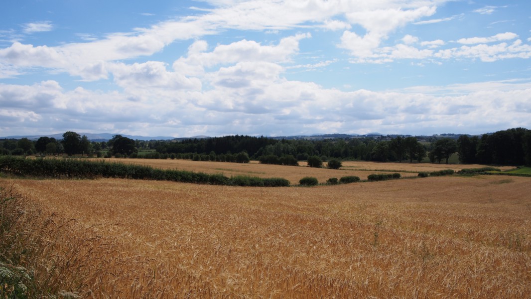 Berge aus der Ferne