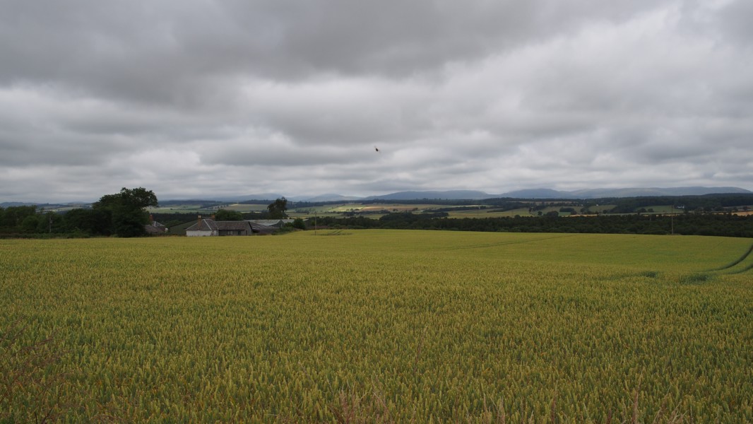 Highlands in der Ferne