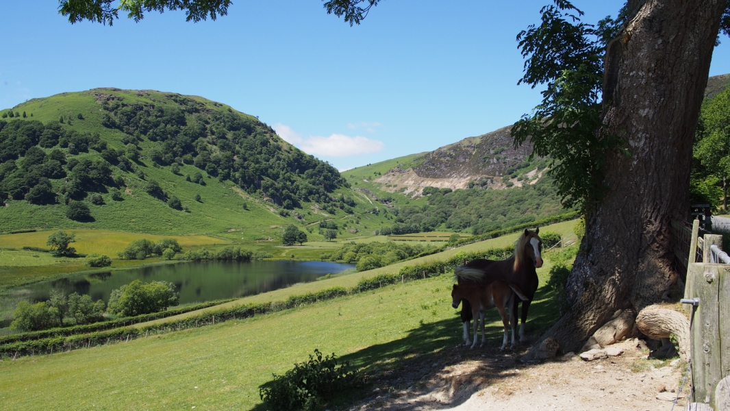 Elan Valley Anfang